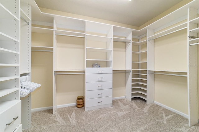 walk in closet with carpet