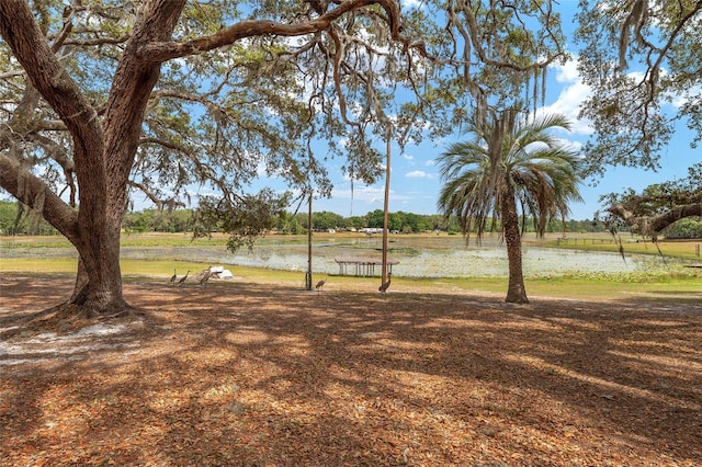 view of yard featuring a water view
