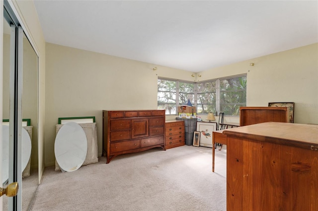 bedroom featuring a closet and light carpet