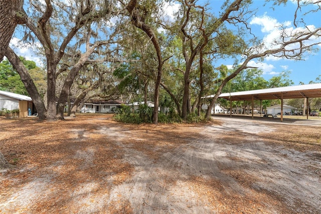view of yard featuring a carport