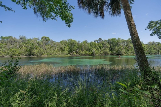 property view of water featuring a forest view