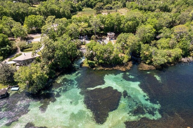 20364 SW 86th Loop, Dunnellon, FL 34431 - aerial overview of property's location featuring a forest