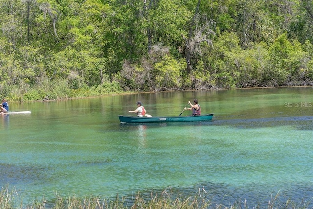 20364 SW 86th Loop, Dunnellon, FL 34431 - water view