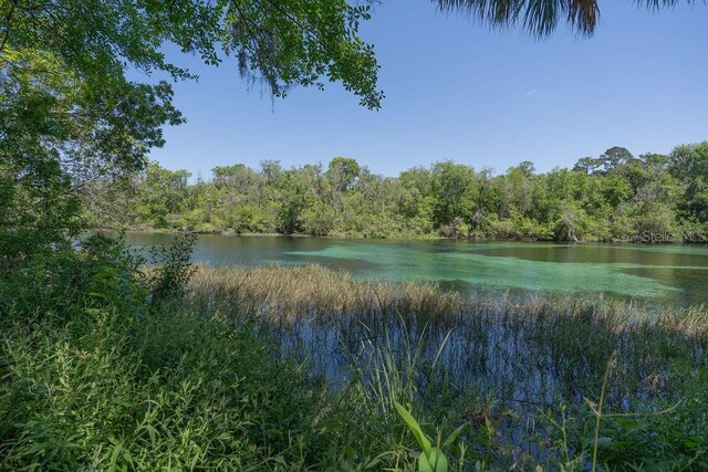 20364 SW 86th Loop, Dunnellon, FL 34431 - water view featuring a forest