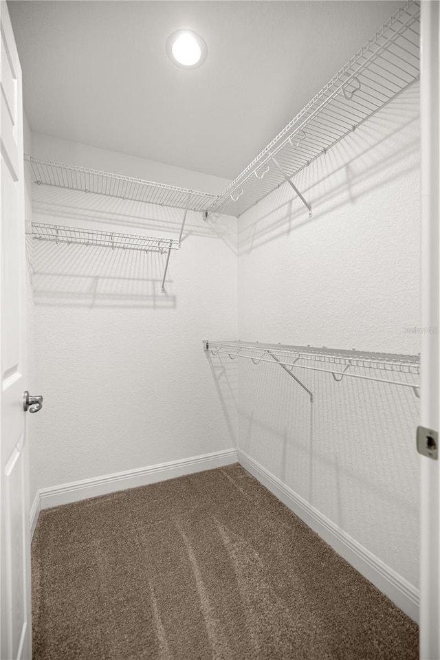 walk in closet with carpet