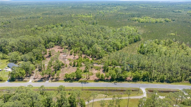 1351 SW State Road 24, Chiefland, FL 32626 - photo 2