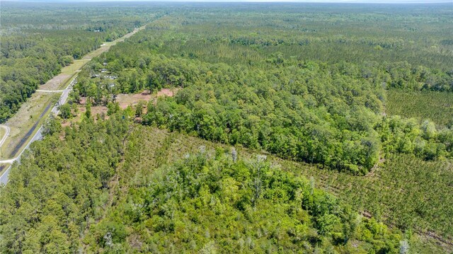 1351 SW State Road 24, Chiefland, FL 32626 - photo 4