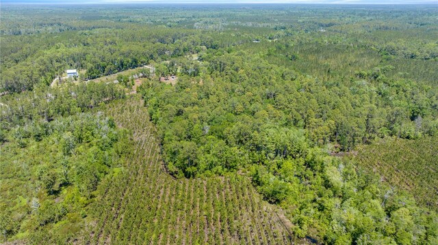 1351 SW State Road 24, Chiefland, FL 32626 - photo 5