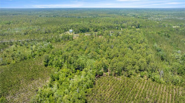 1351 SW State Road 24, Chiefland, FL 32626 - photo 6