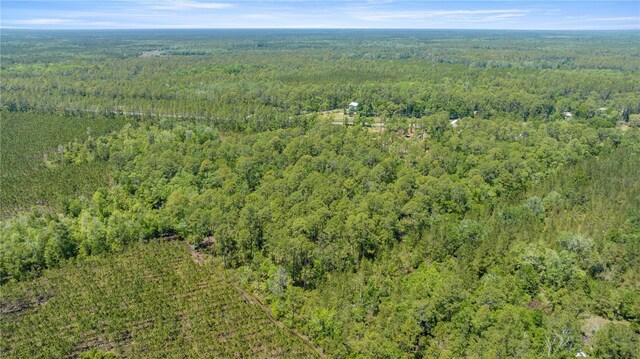 1351 SW State Road 24, Chiefland, FL 32626 - photo 7