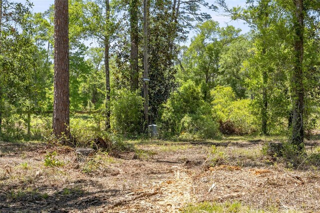 1351 SW State Road 24, Chiefland, FL 32626 - photo 9