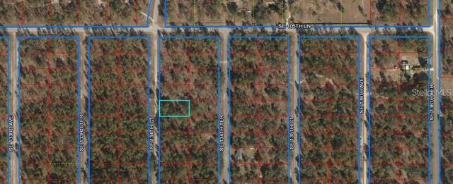 LOT62 SE 134th Ct, Dunnellon, FL 34431 - photo 3