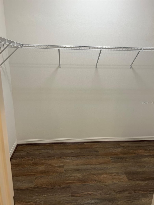 spacious closet featuring dark wood-type flooring