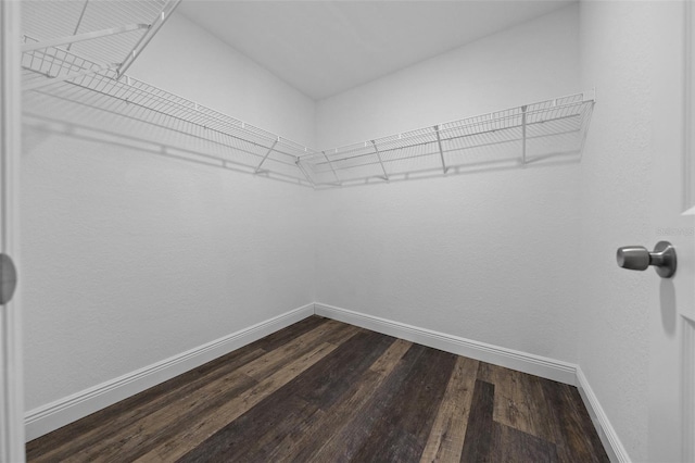 2312 SW 140th Ct, Ocala, FL 34481 - spacious closet featuring dark wood-type flooring