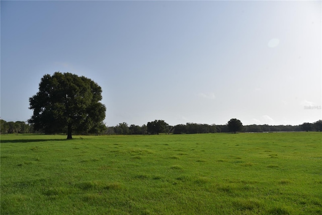 view of local wilderness featuring a rural view