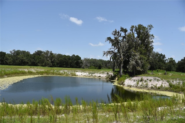 water view featuring a forest view