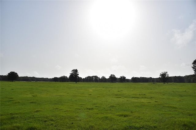 view of local wilderness featuring a rural view