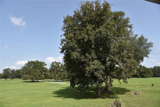 view of home's community with a yard