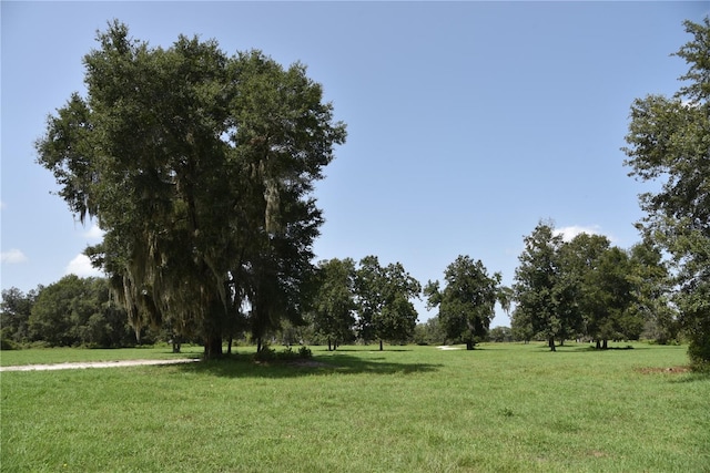 view of community featuring a yard