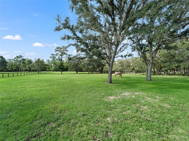 4658 W Hacienda Dr, Beverly Hills, FL 34465 - view of yard featuring fence