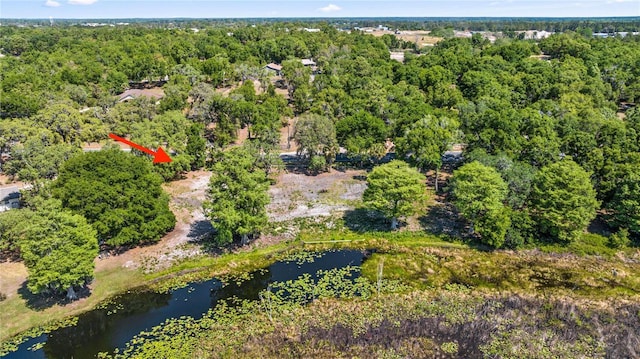0 SE 110th Street Rd, Belleview, FL 34420 - photo 5