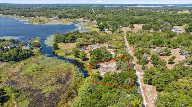 0 SE 110th Street Rd, Belleview, FL 34420 - photo 1