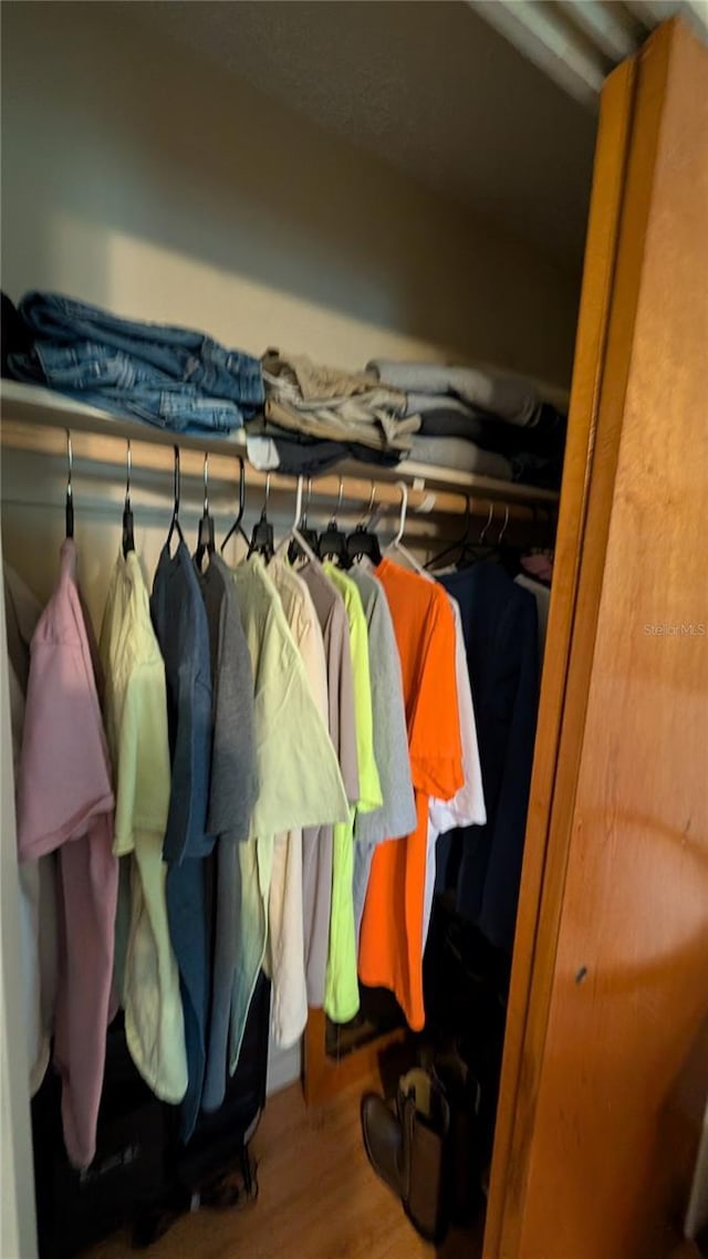view of closet