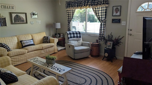 living room featuring wood finished floors