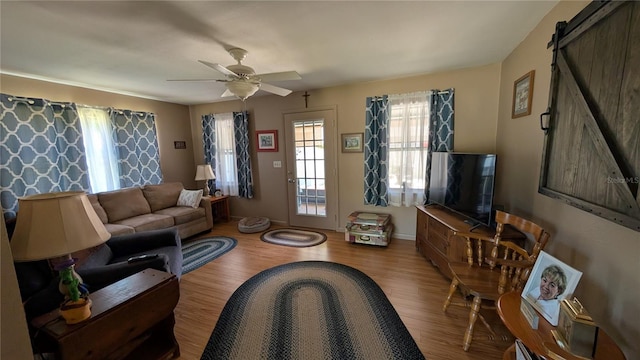 living room with a barn door, wood finished floors, and ceiling fan