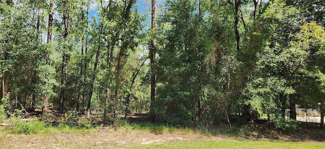 TBD SW 93th Ln, Dunnellon FL, 34431 land for sale