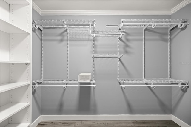 walk in closet with wood finished floors