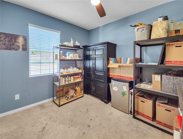 5198 NE 19th Pl, Ocala, FL 34470 - storage featuring ceiling fan