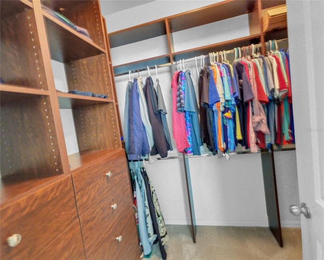 5198 NE 19th Pl, Ocala, FL 34470 - spacious closet featuring carpet flooring