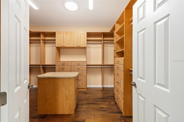 8632 SW 86th Cir, Ocala, FL 34481 - spacious closet featuring dark wood finished floors