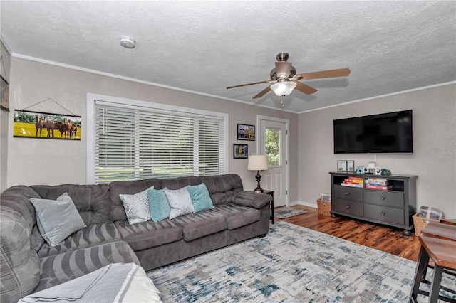 4180 W Anthony Rd, Ocala, FL 34475 - living area featuring wood finished floors, a ceiling fan, and ornamental molding