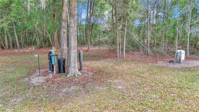 4180 W Anthony Rd, Ocala, FL 34475 - view of yard