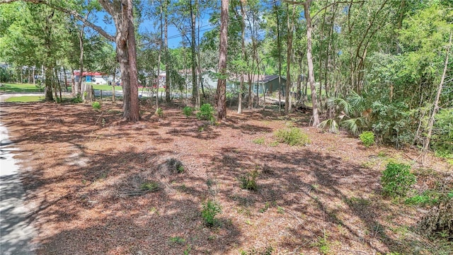 4180 W Anthony Rd, Ocala, FL 34475 - view of yard