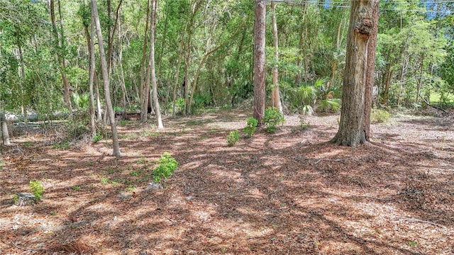 4180 W Anthony Rd, Ocala, FL 34475 - view of landscape with a wooded view