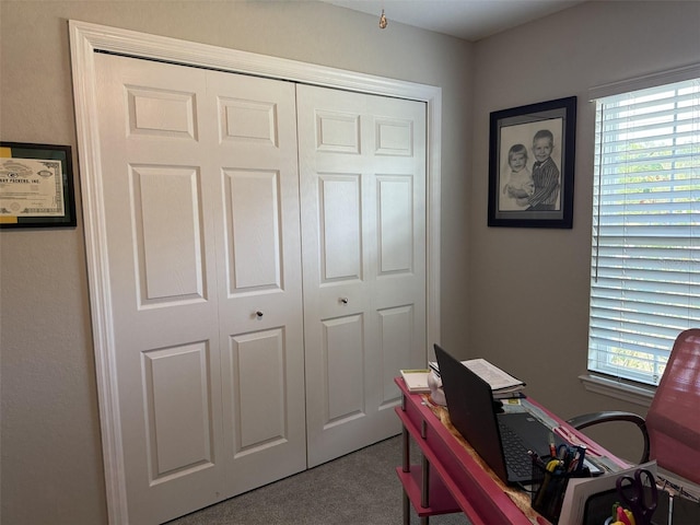 home office featuring carpet