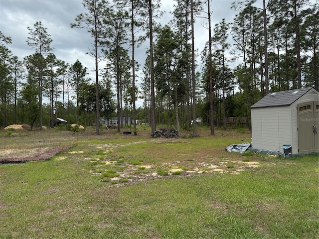 view of yard with an outdoor structure and a storage unit