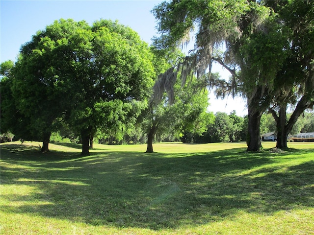 13675 SW 111th Ave, Dunnellon, FL 34432 - photo 2