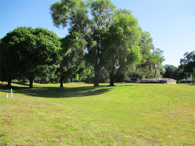 13675 SW 111th Ave, Dunnellon, FL 34432 - photo 48