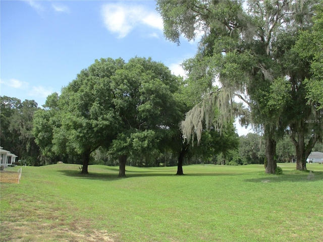 13675 SW 111th Ave, Dunnellon, FL 34432 - photo 49