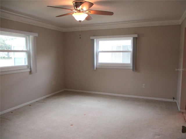 13675 SW 111th Ave, Dunnellon, FL 34432 - photo 19