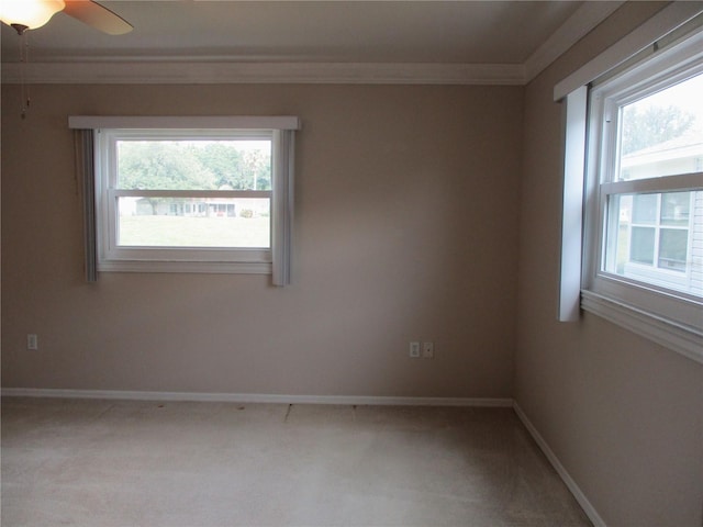13675 SW 111th Ave, Dunnellon, FL 34432 - photo 22
