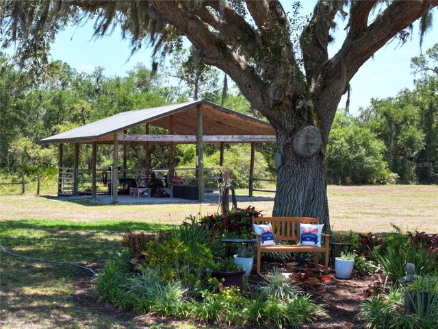 4806 SW County Road 769, Arcadia, FL 34269 - surrounding community with a lawn