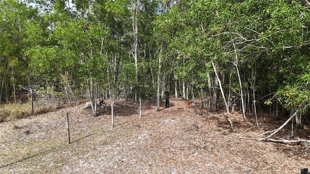 17341 Balfour Ter, Fort Myers, FL 33913 - photo 17