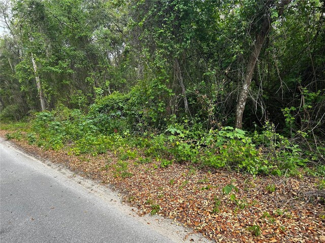 TBD SE 52nd Pl, Ocklawaha, FL 32179