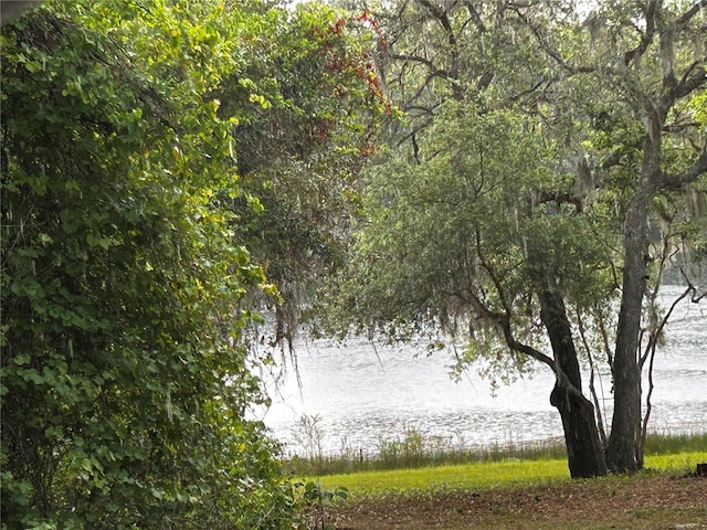 TBD SE 52nd Pl, Ocklawaha, FL 32179