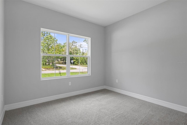 carpeted empty room with baseboards and a wealth of natural light
